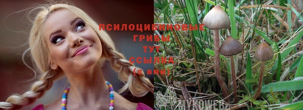 прущая мука Аркадак