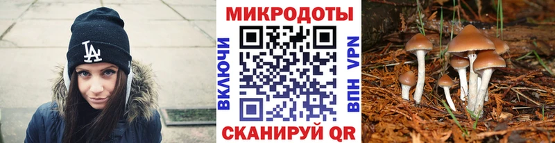 где купить наркоту  Лянтор  Псилоцибиновые грибы ЛСД 